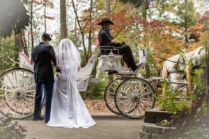 Horse drawn wedding Carriage