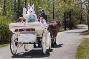 Easter Carriage Rides